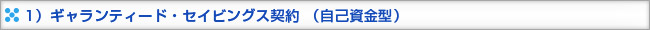 ESCO事業 ギャランティード・セイビングス契約 (自己資金型)